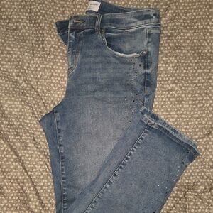 Lane Bryant Mid-rise Signatute Fit Straight Leg Denim with Rhinestone Details